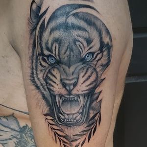 Meet your Posher, Chad